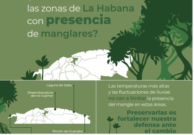 Captura de pantalla 2025-12-01 a las 11.44.50.png